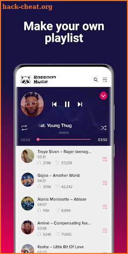 Raccoon Music screenshot