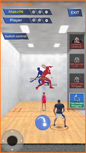 Racquetball Madness screenshot