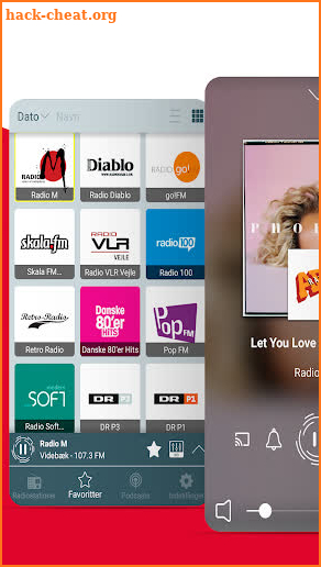 Radio Denmark: FM Radio and Online Radio screenshot