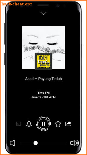 Radio Indonesia - Radio FM screenshot