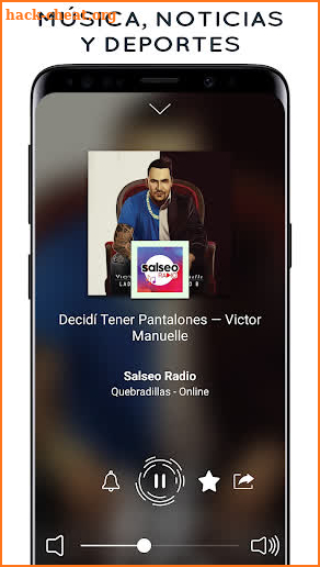 Radio Puerto Rico Online screenshot