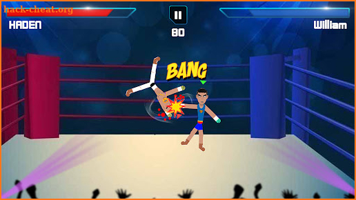 Ragdoll Fighting Games screenshot