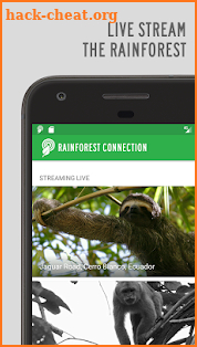 Rainforest Connection screenshot