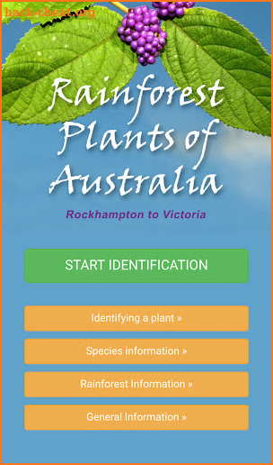 Rainforest Plants of Australia screenshot