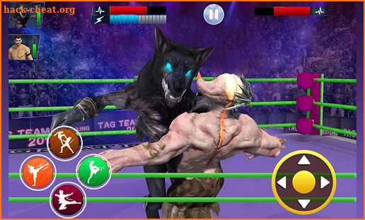 Real Animal Wrestling Revolution screenshot