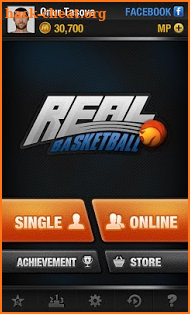 Real Basketball screenshot