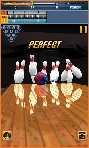 Real Bowling 3D World Champions Game screenshot