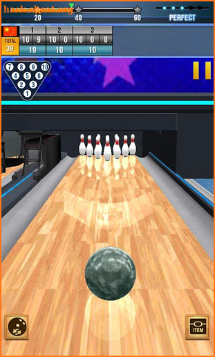 Real Bowling 3D World Champions Game screenshot