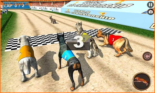 Real Dog Racing Tournament screenshot