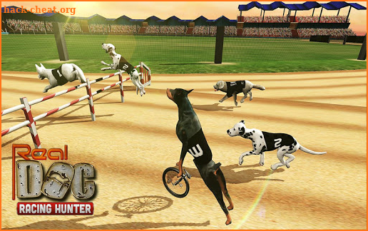Real Dogs Racing Rabbit Hunter Greyhound Simulator screenshot