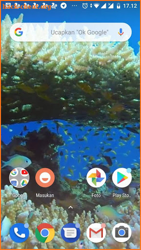 Real Fish Live Video Wallpaper screenshot