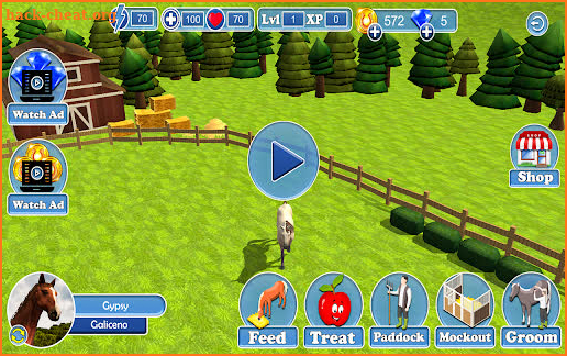 Real Horse Show Racing World screenshot