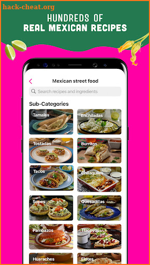 Real Mexican Recipes screenshot