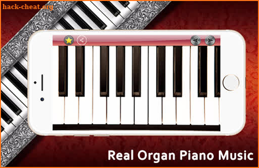 Real Organ Piano Music screenshot