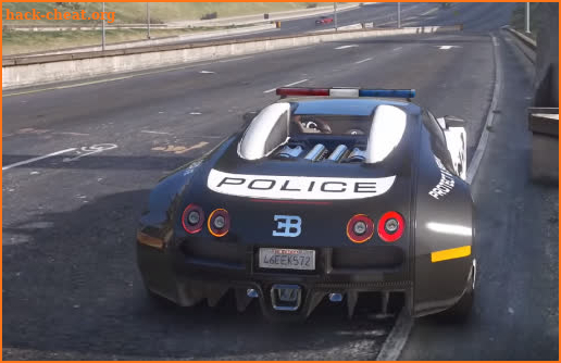 Real Police Car Games 2019 3D screenshot