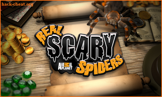 Real Scary Spiders screenshot