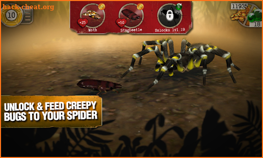 Real Scary Spiders screenshot