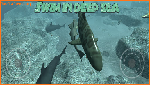 Real Shark Simulator 3D screenshot