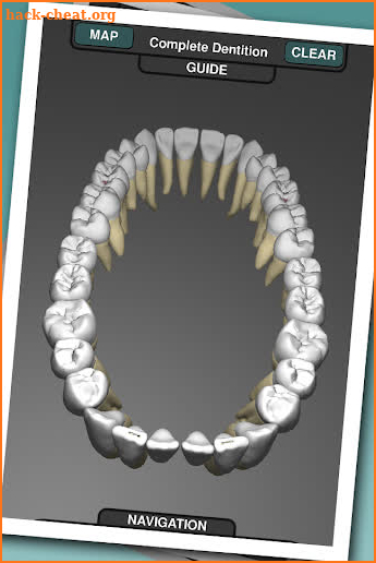 Real Tooth Morphology screenshot