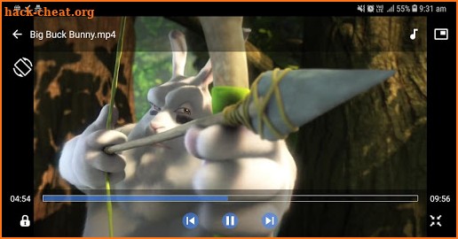 Real Video Player screenshot