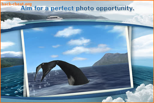 REAL WHALES Find the cetacean! screenshot