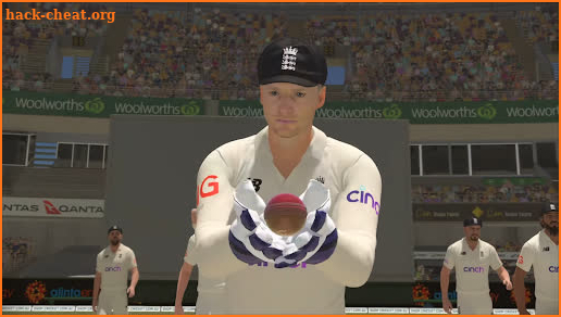 Real World Cricket Games screenshot