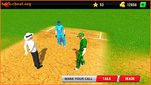 Real World Cricket League 19: Cricket Games screenshot