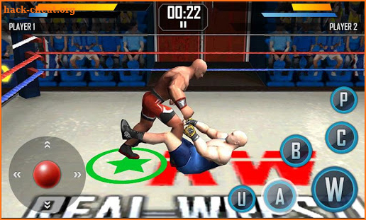 Real Wrestling 3D screenshot