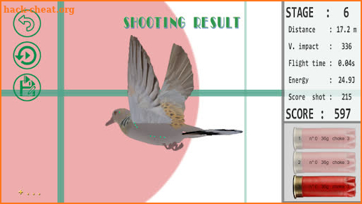 Realistic Shooting Pro screenshot
