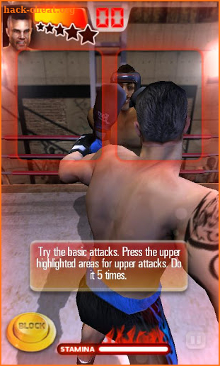 Realtech Iron Fist Boxing screenshot