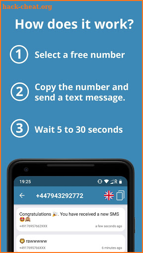 Receive SMS -  Virtual numbers screenshot