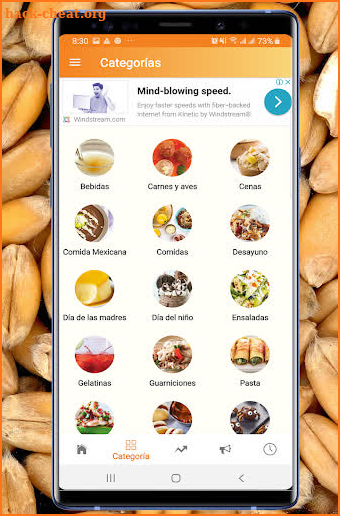Recetas de Cocina screenshot