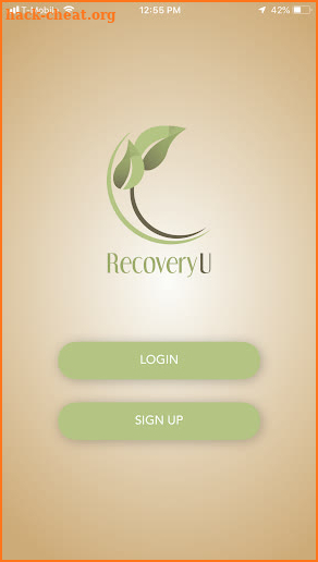 RecoveryU screenshot