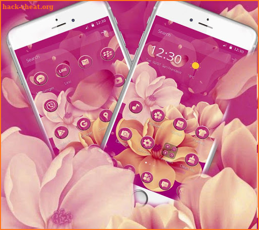 Red Rose Beauty Flower Theme screenshot