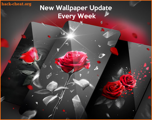 Red Rose Live Wallpapers Themes screenshot