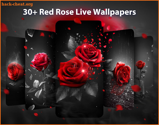 Red Rose Live Wallpapers Themes screenshot