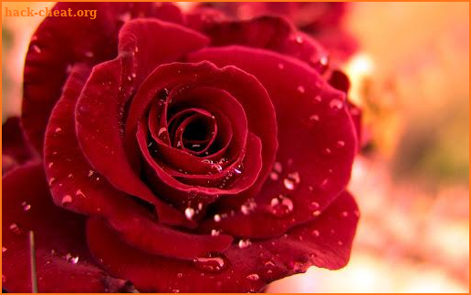 Red Roses For Mother's Day 2020 screenshot