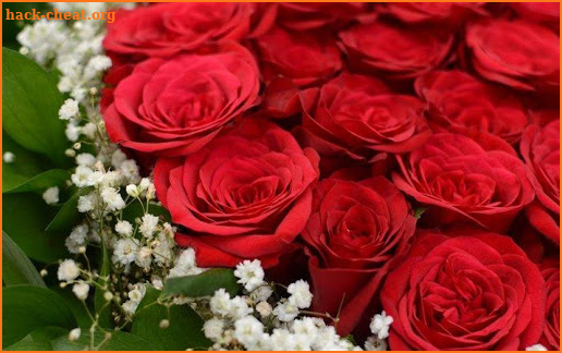 Red Roses For Mother's Day 2020 screenshot
