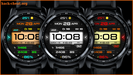 REDENTION WS155 Watch face screenshot