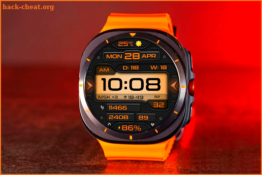 REDENTION WS155 Watch face screenshot
