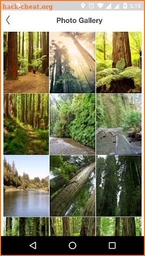 Redwood National Park screenshot