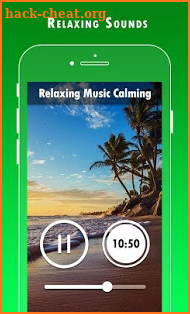 Relaxing Melodies : Sleep Sounds screenshot