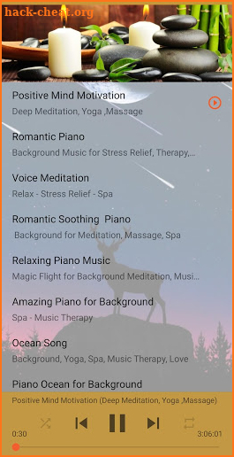 Relaxing Music 2020 - No Ads screenshot