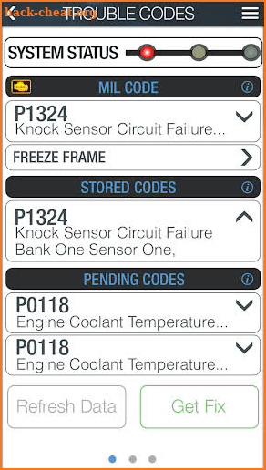 RepairSolutions Pro screenshot