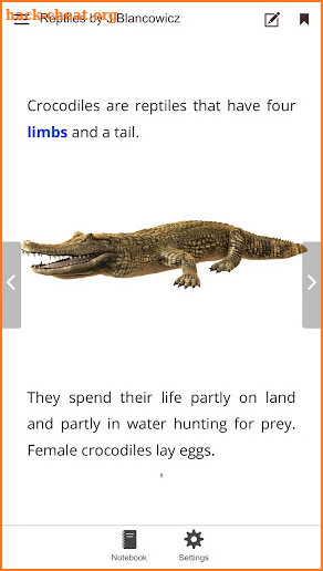 Reptiles screenshot
