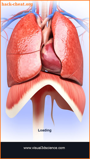 Respiratory System Anatomy screenshot