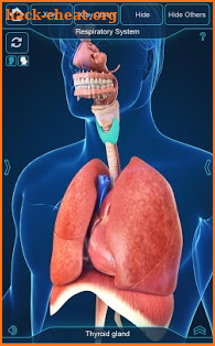 Respiratory System Anatomy Pro. screenshot