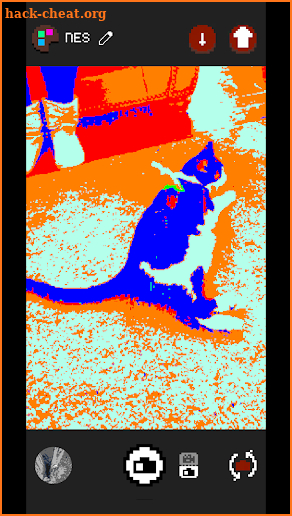 Retro Pixel Camera screenshot