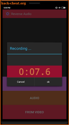 Reverse Audio screenshot