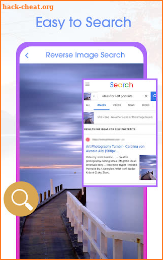 Reverse Image Search: Search By Image Tool screenshot